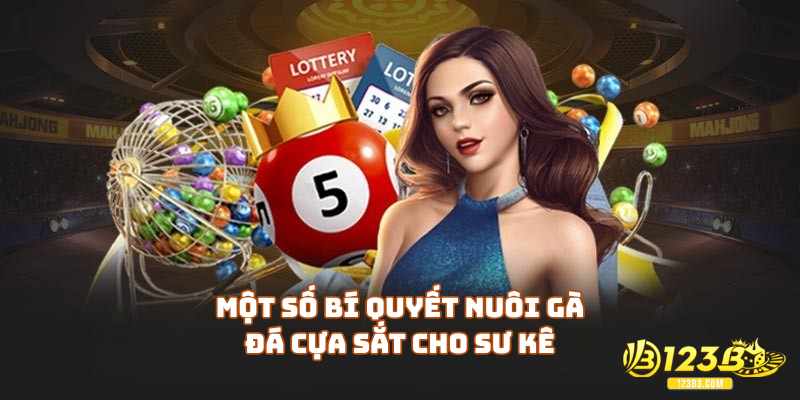 Một số bí quyết nuôi gà đá cựa sắt cho sư kê