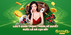 Lưu ý quan trọng trong bí quyết nuôi gà đá cựa sắt