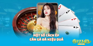 Một số cách ép cân gà đá hiệu quả