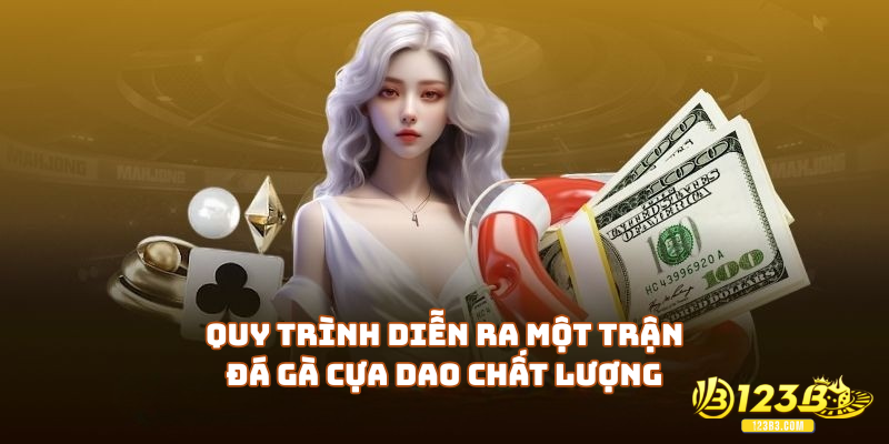 Quy trình diễn ra một trận đá gà cựa dao chất lượng