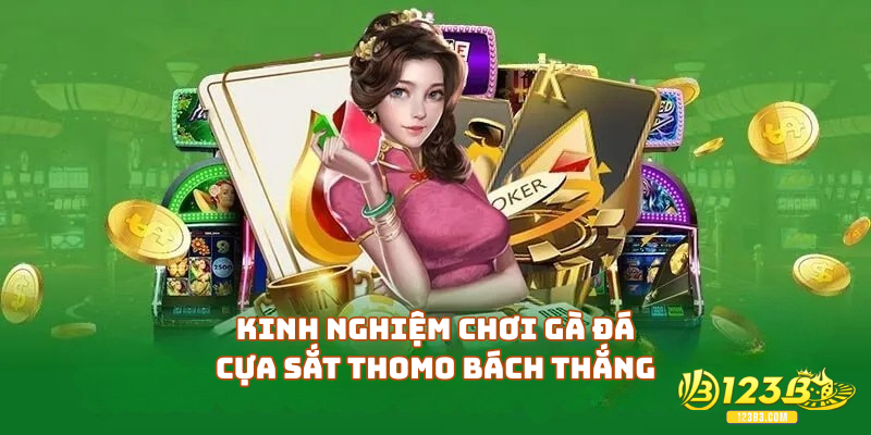 Kinh nghiệm chơi gà đá cựa sắt Thomo bách thắng